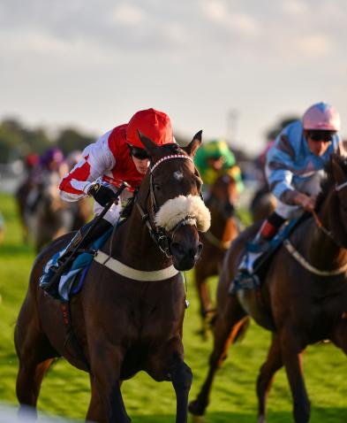 October Meeting 2026