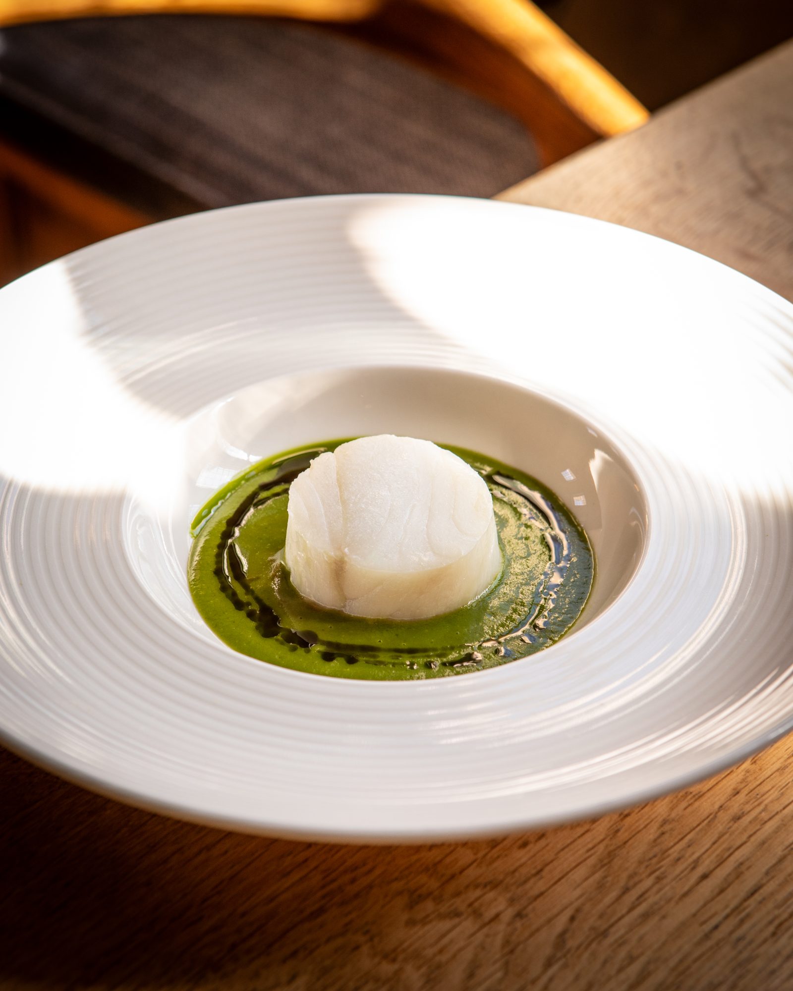 Roots at The Races with Tommy Banks