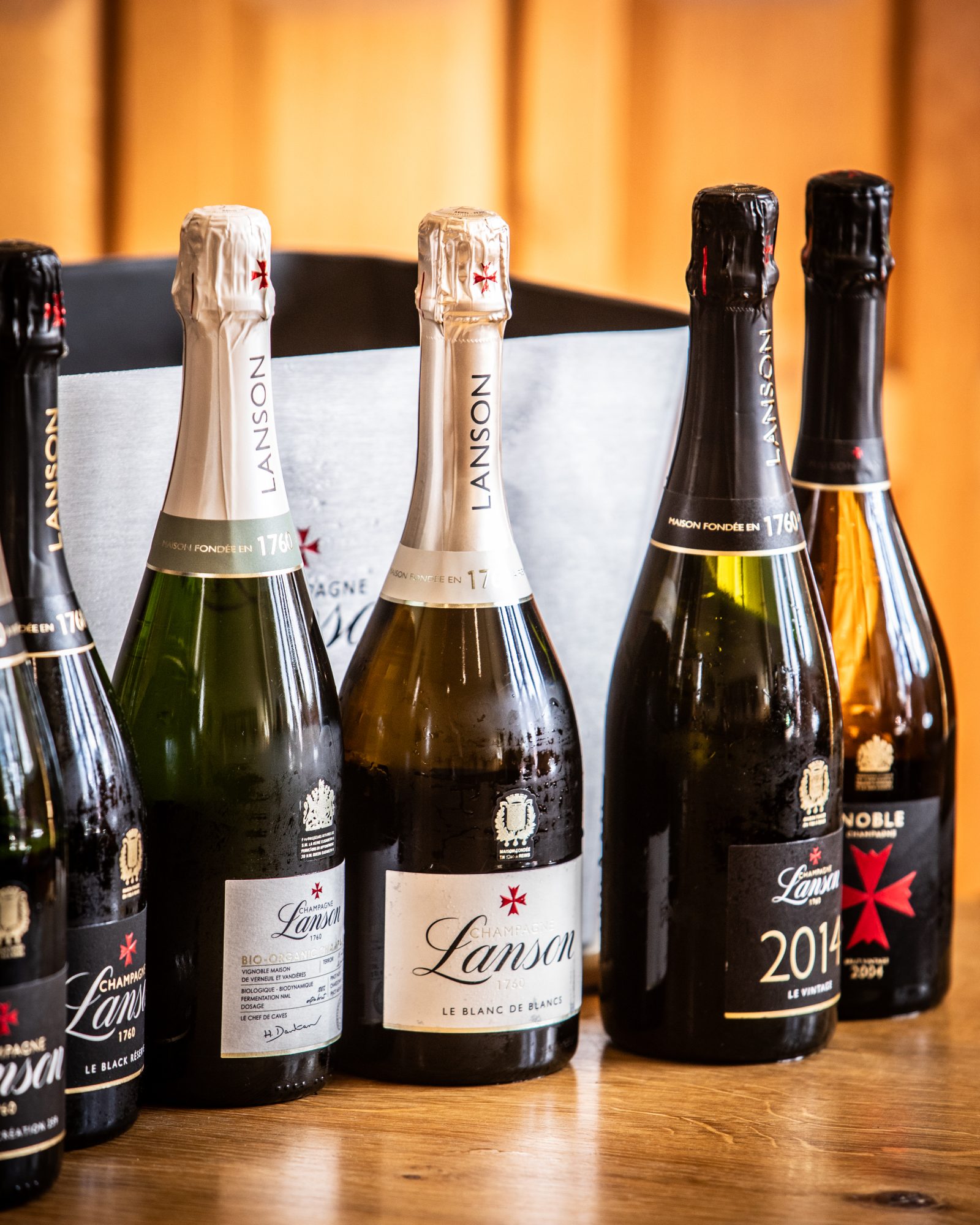 Roots at The Races with Tommy Banks