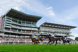 Next Meeting - Dante Festival 2018