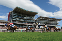 York Racecourse wins Racecourse of the Year 2017