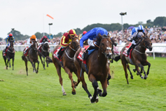 York heads towards the Dante Festival 2018 with its best ever race programme