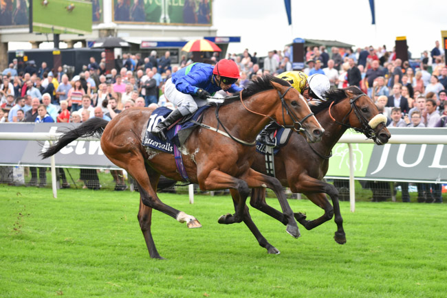 Wells Farhh Go to return in Betfred Dante Stakes