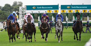 Foxtrot Lady 'in great form' for York assignement