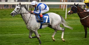 Thundering Blue returns to happy hunting ground for John Smith's Cup