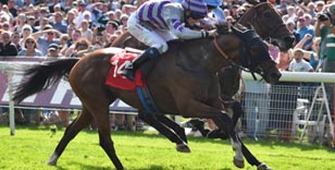 Ferland’s French challenge with Funny Kid as century of entries revealed for £500K Sky Bet Ebor on August 25