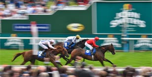 59 years young John Smith's Cup meeting richest ever running of famous York raceday