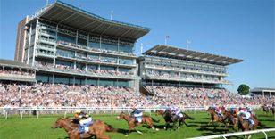 Feature Race Picture becomes clearer: Latest big race entries