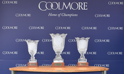 Dods readying Mabs Cross for Coolmore Nunthorpe