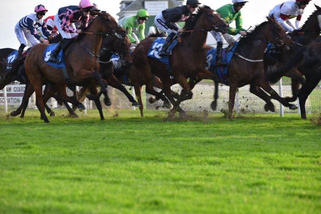 Two-day October Meeting is the richest ever seasonal conclusion