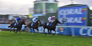 GARRUS WILL BE COMPETITIVE AT YORK – NOSEDA