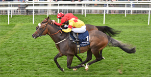 YORK RACECOURSE SPRINT RANKED AS BEST IN THE WORLD