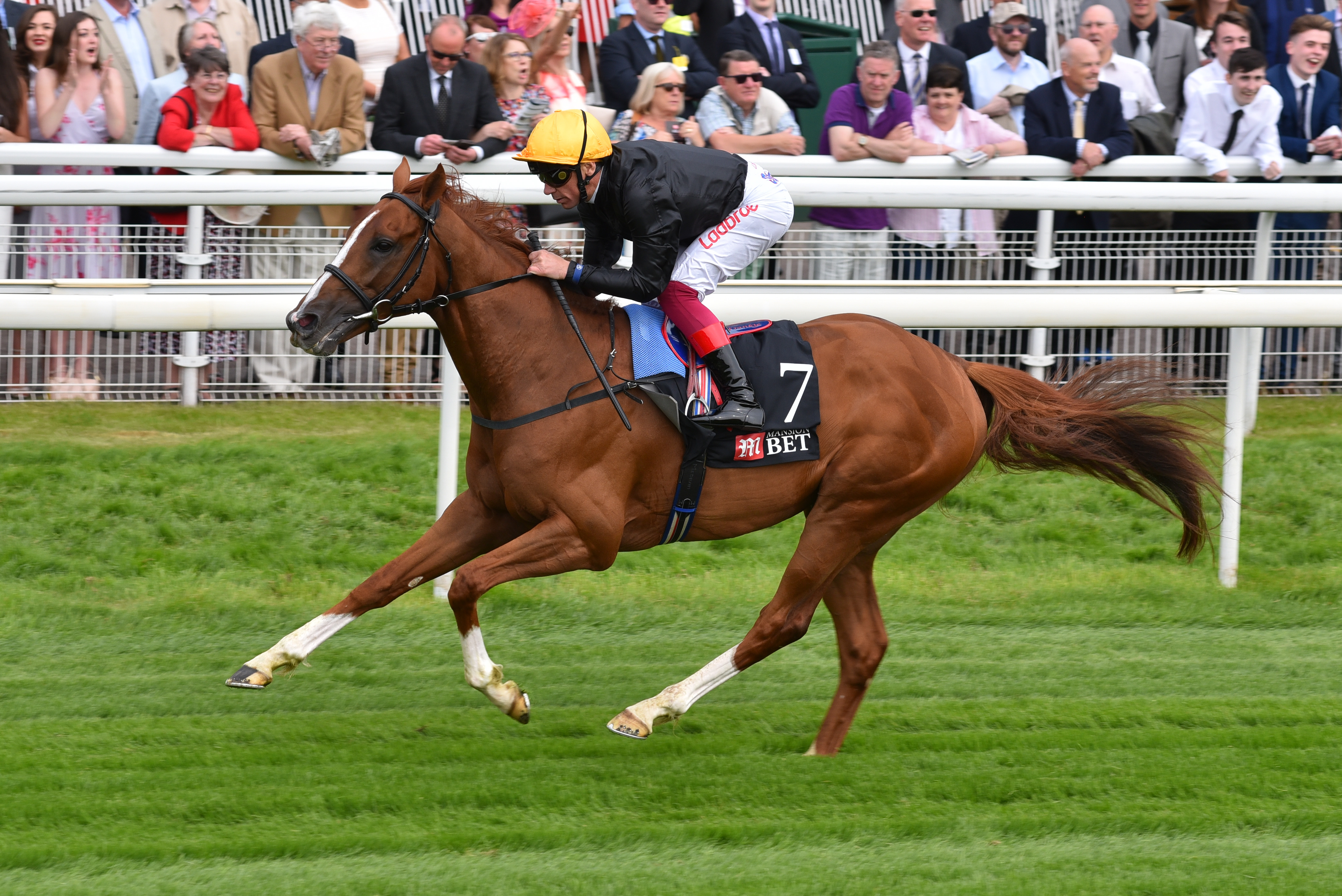 Impressive Entries for Group 2 Races at the Dante Festival