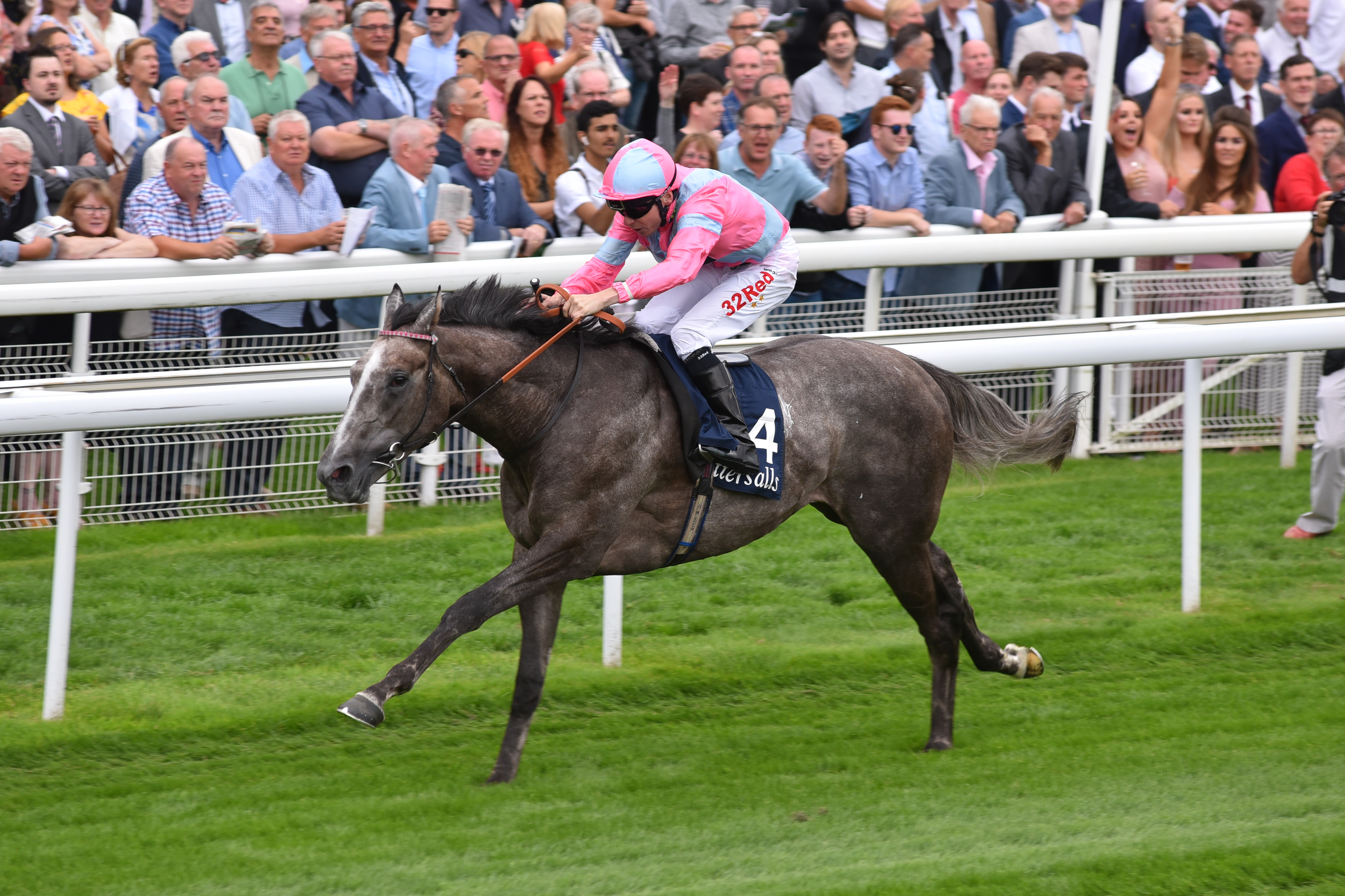 PREVIOUS YORK WINNERS PROMINENT AS DANTE FESTIVAL TAKES SHAPE