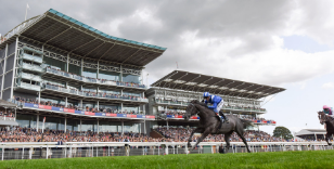 Williams considering Gold options as Sky Bet Race To The Ebor Grand Cup concludes three-race York series on Macmillan Charity Raceday, June 15