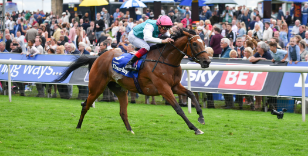 WELCOME TO YORKSHIRE EBOR FESTIVAL 2019 - THE HORSES ARE COMING