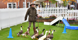 TWO-DAY OCTOBER MEETING – A PROPER FINALE