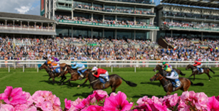 RACECOURSE OWNERS ASSOCIATION AWARDS