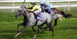 REVIEW OF THE 2020 SEASON