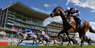 2021 SEASON - COMMON QUESTIONS & ANSWERS