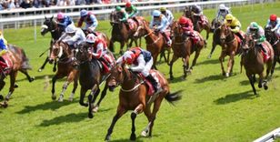 THE HORSES ARE COMING...