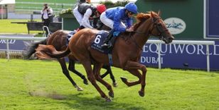 DANTE FESTIVAL SET TO KICK OFF RECORD BREAKING 2022 SEASON AT YORK