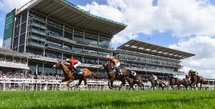 THE DANTE FESTIVAL GROUP TWO PICTURE COMES INTO SHARPER FOCUS