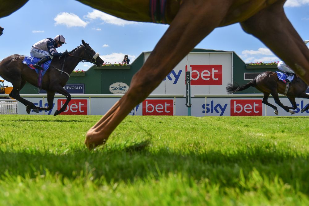 SKY BET EBOR FESTIVAL - THE HORSES ARE COMING...