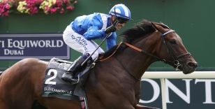 JUDDMONTE INTERNATIONAL GETS GOLDEN TICKET TO LADBROKES COX PLATE