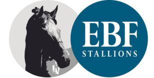 YORK-BOUND SPARKS FLY SEEKS MAGNIFICENT SEVEN