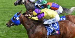 SEASONAL BOW IN GROUP 2 SKY BET YORK STAKES FOR ALFLAILA