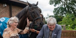THE POWER OF THE THOROUGHRED - YORK RACECOURSE EQUINE AMBASSADOR GOLDREAM LIFTS SPIRITS OF FORMER DOCTOR