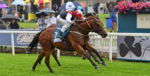 SPRINT ACE COPPER KNIGHT ENTERED FOR HIS OWN RACE AT YORK