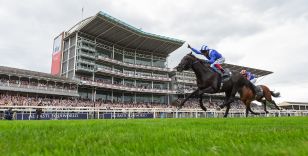 LOOKING FORWARD TO THE SKY BET EBOR FESTIVAL 2024