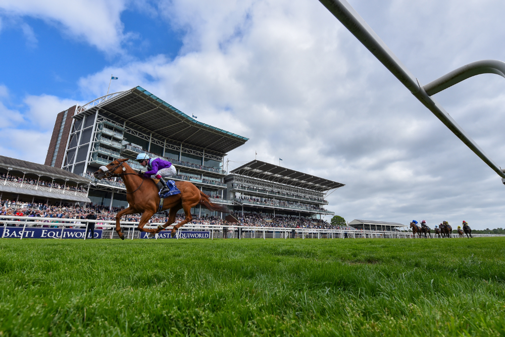 Entries for feature races confirmed for the Dante Festival at York