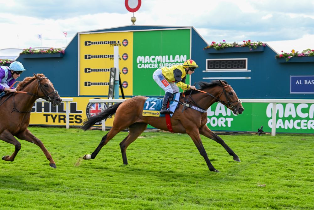 Ellison Upbeat About Fortification's Chance in the Churchill Tyres Supporting Macmillan Sprint