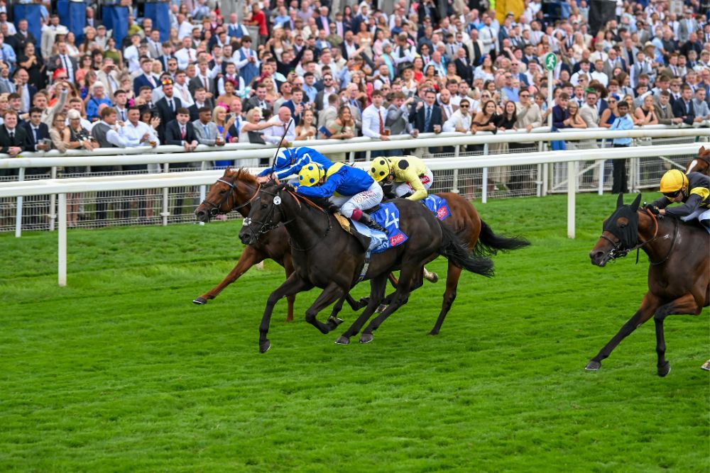 YorkMix Family Raceday - Horses are coming 