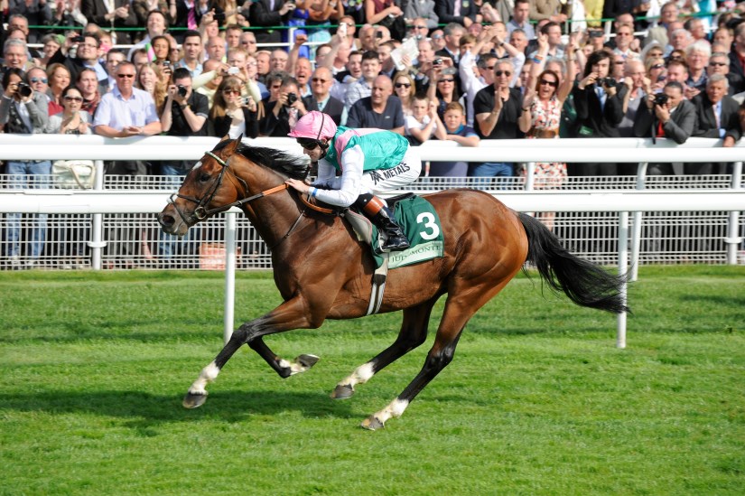 York celebrates staging the best horse race in the world