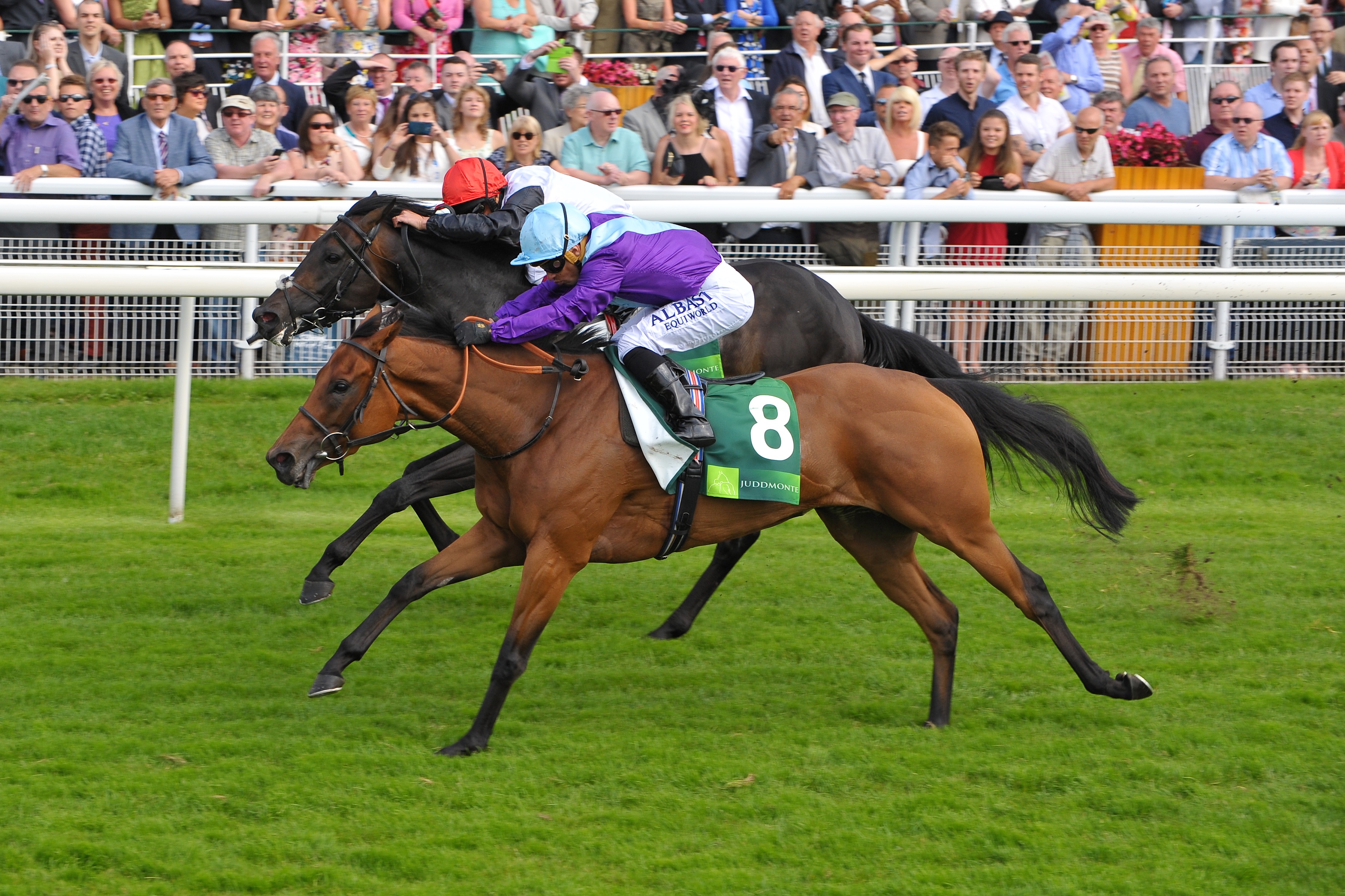 Celebrating staging the best race in Great Britain