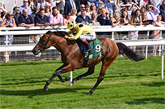 PRIZE MONEY TO RISE TO £1,000,000 FOR THE JUDDMONTE INTERNATIONAL AT YORK