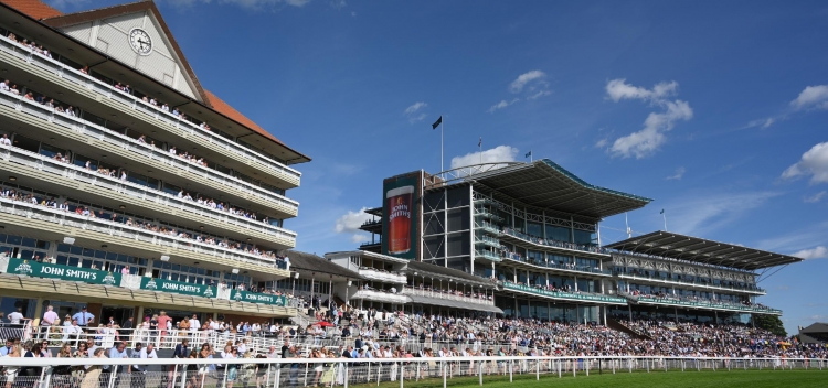 A brief guide to the Racecourse Stands